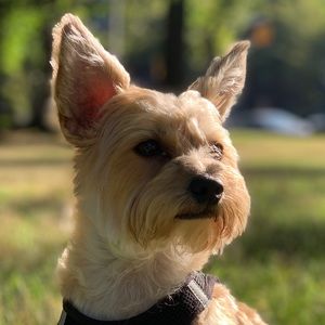 Meet your Posher, Jorge